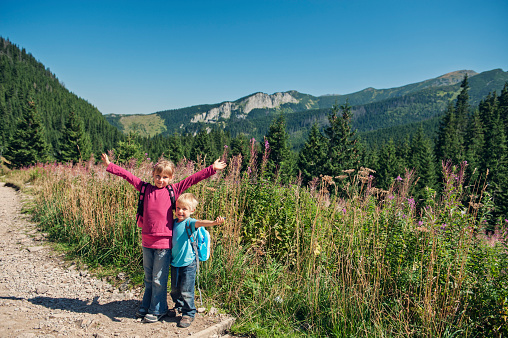 Little girl aged 6 and her little brother aged 3 are hiking in the Tatra Mountains. They are cheering to the camera.\nShot with Nikon D700