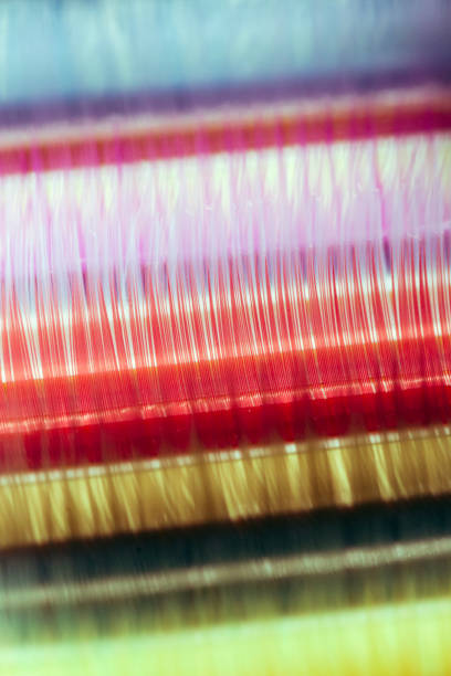 istock Different false eyelashes. Makeup accessories. Cosmetics products for women 1442248926