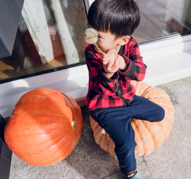 Young boy sitting on wooden steps holding a pumpkin, wearing a straw hat, with autumn plants in the background on terrace