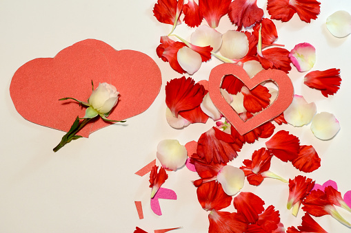 The picture shows hearts cut out of paper and a white rose. Greeting card for the holiday.