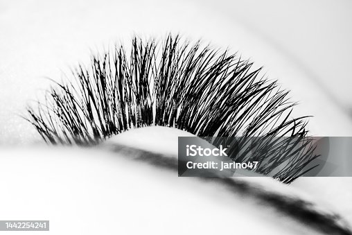 istock Macro shot of female eye with extreme long eyelashes. Black and white shot 1442254241