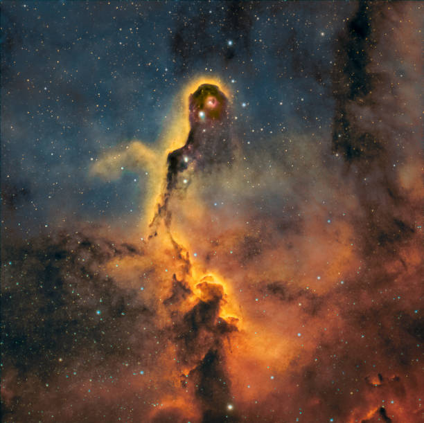 istock The Elephant Trunk Nebula, IC 1396 in the Constellation of Cepheus. 1442256601