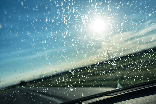 Car driver perspective point of view of hundreds of disgusting dead insect bugs and guts splashed and splattered all over a gross car windshield driving on a sunny summer day through the vast agricultural fields in Kansas, USA.