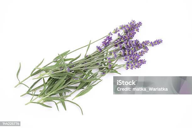 Foto de Lavanda e mais fotos de stock de Beleza - Beleza, Beleza natural - Natureza, Bouquet