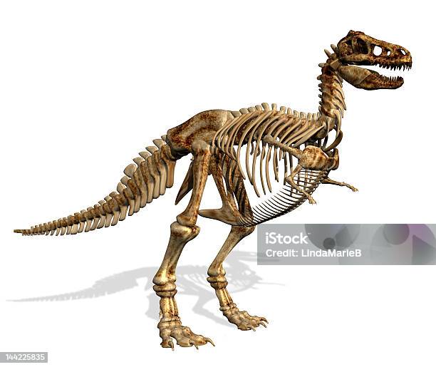 ティラノサウルスレックススケルトン - 恐竜のストックフォトや画像を多数ご用意 - 恐竜, 動物の骸骨, イラストレーション