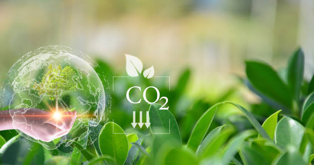 istock Concept to reduce global warming, increase green area clean air world 1442258917