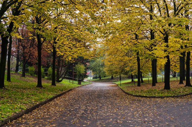 Cemetery Park in Autumn