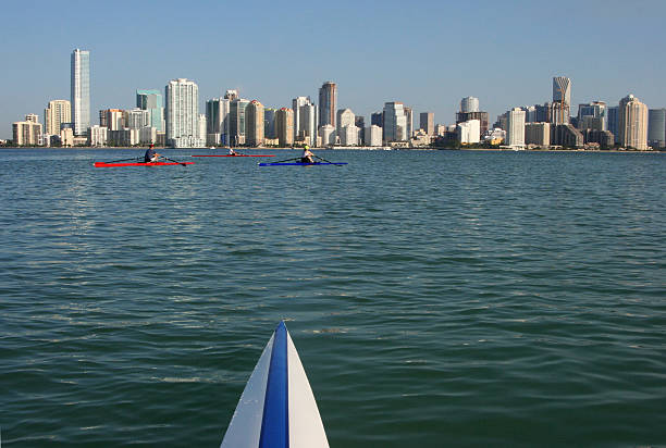 Rowers with Miami skyline stock photo