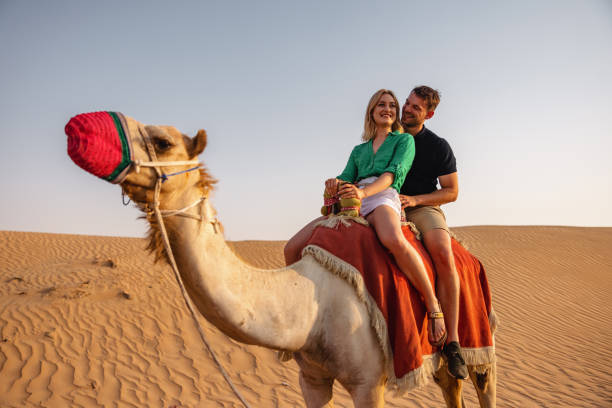 junge erwachsene reiten auf dem kamel in der wüste in dubai - camel desert travel safari stock-fotos und bilder