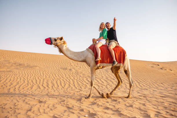 istock Two Caucasian People Riding A Camel On The Dune In Dubai 1442260958