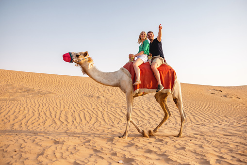 Two Caucasian people discovering the dunes and riding the camel in Dubai.