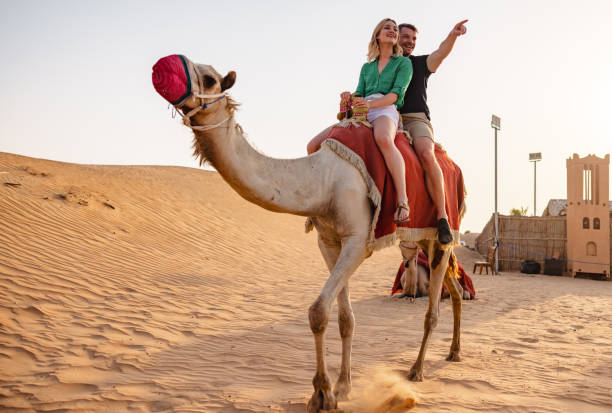 istock A Couple Discovering The Desert On The Camel In Dubai 1442261232