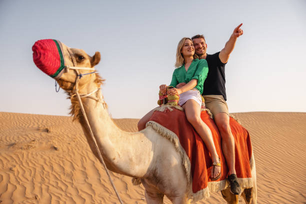 istock A Couple Camel Riding On The Desert In Dubai 1442261239