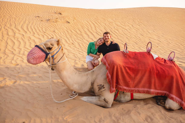 istock Tourists Posing With A Camel In Dubai 1442261248