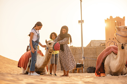A lovely Middle Eastern family enjoying their vacation while petting a camel before camel riding in Dubai desert at sunset.