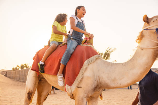 istock Middle Eastern Young Children Riding A Camel In Dubai At Sunset 1442261330