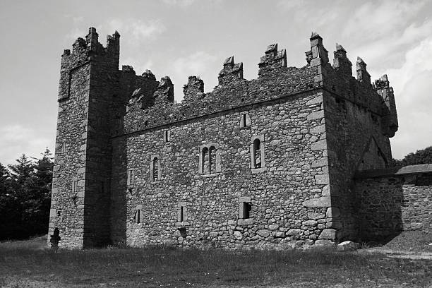 Irish Castle stock photo