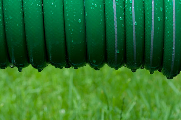 Garden Hose After Rain