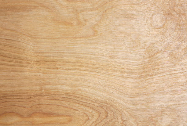 light colored wood grain texture - 楓樹 個照片及圖片檔