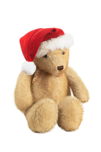 istock Teddy bear with christmas hat on white background 1442269239