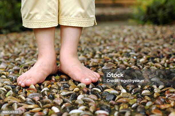 Pie De Reflexología Foto de stock y más banco de imágenes de Andar - Andar, Asistencia sanitaria y medicina, Camino