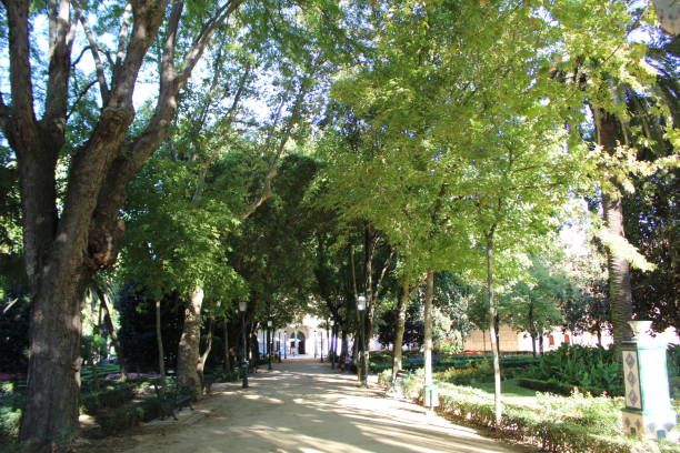 istock The Jardines del Prado make up a historic urban 1442269857