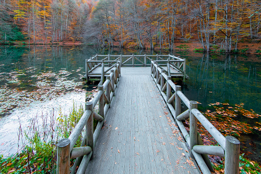 Autumn in Seven Lakes (Yedigöller) National Park