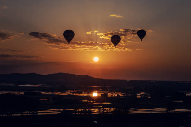istock three hot air balloons fly over rice paddies under sunrise. 1442274438