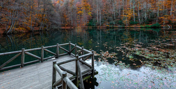 istock Autumn in Seven Lakes (Yedigöller) National Park 1442274677