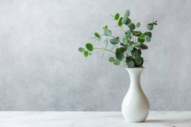 istock White vase with eucalyptus on a gray background 1442276042