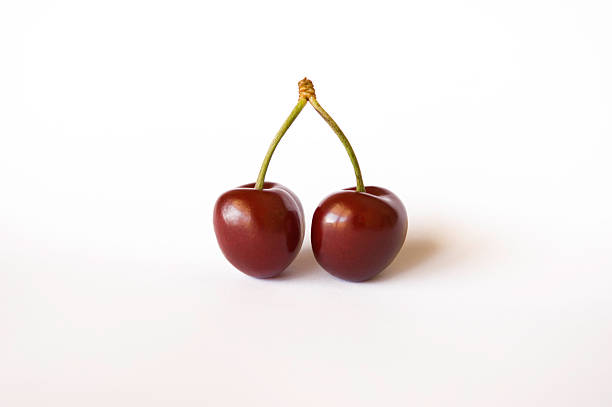 Isolated Cherries stock photo