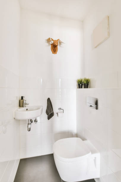 istock a white bathroom with a toilet and a sink 1442279746
