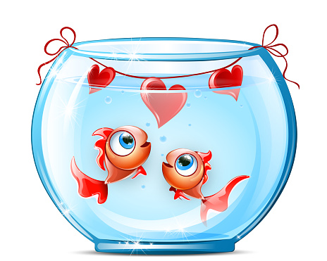 Couple cartoon red fishes in aquarium with hearts on the rope for Valentine's day party.