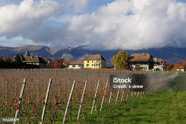 Herbstliches Weingut Farm Stockfoto und mehr Bilder von Agrarbetrieb - Agrarbetrieb, Alkoholisches Getränk, Baum