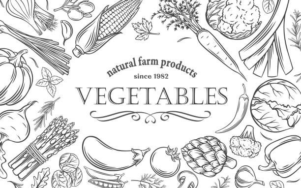 Vegetables Design Template Vegetables, natural farm food products design template vector illustration. Outline hand drawn icons of fresh healthy collection for vegetarian and vegan diet, summer harvest of vegetables poster engraving food onion engraved image stock illustrations