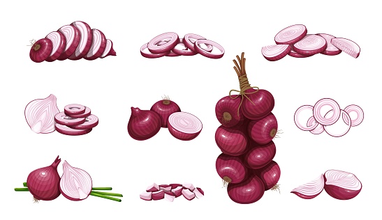 Red onion set vector illustration. Cartoon isolated whole onion with leaf, cut in half, circle slices, sections and chopped pieces for cooking, hanging bunch of purple raw shallot heads in peel
