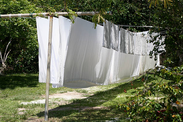 Line of white sheets drying in fresh air stock photo