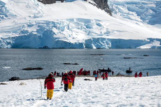 istock hiking in Antarctica 1442287165