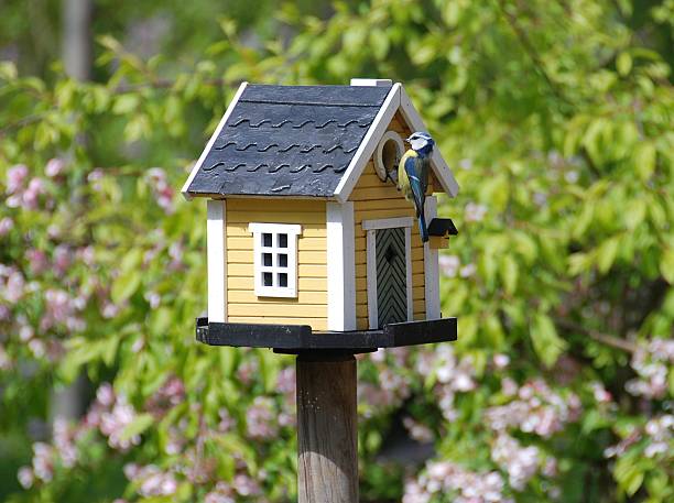 birdsnest avec oiseaux manger - birdhouse photos et images de collection