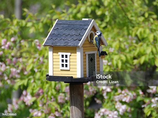 Birdsnest Com Pássaro Alimentação - Fotografias de stock e mais imagens de Casa de Pássaro - Casa de Pássaro, Pássaro, Animal