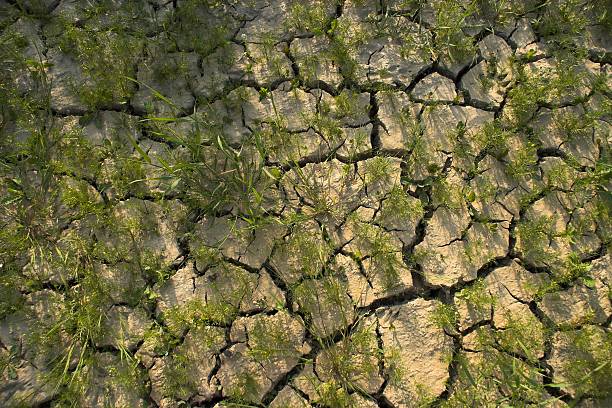 Drought stock photo