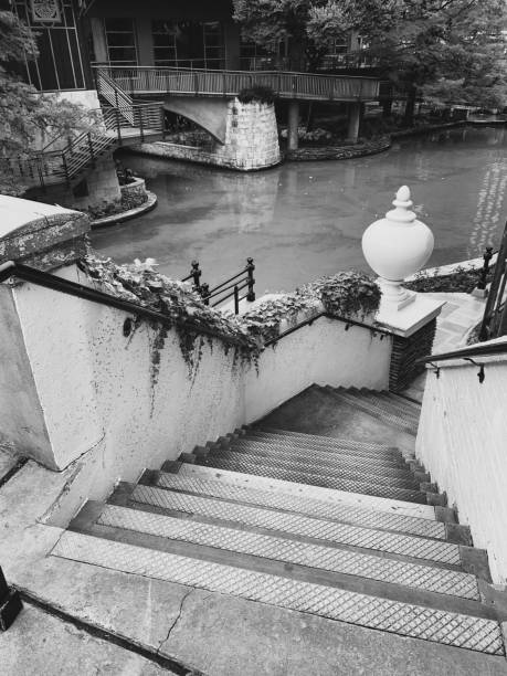 Close up of plants growing on stairs of Riverwalk in San Antonio