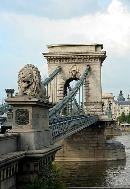 budapeste ponte das correntes - chain bridge budapest bridge lion imagens e fotografias de stock