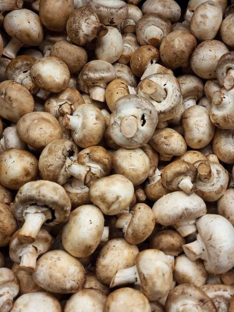 istock fresh food of natural origin 1442293232