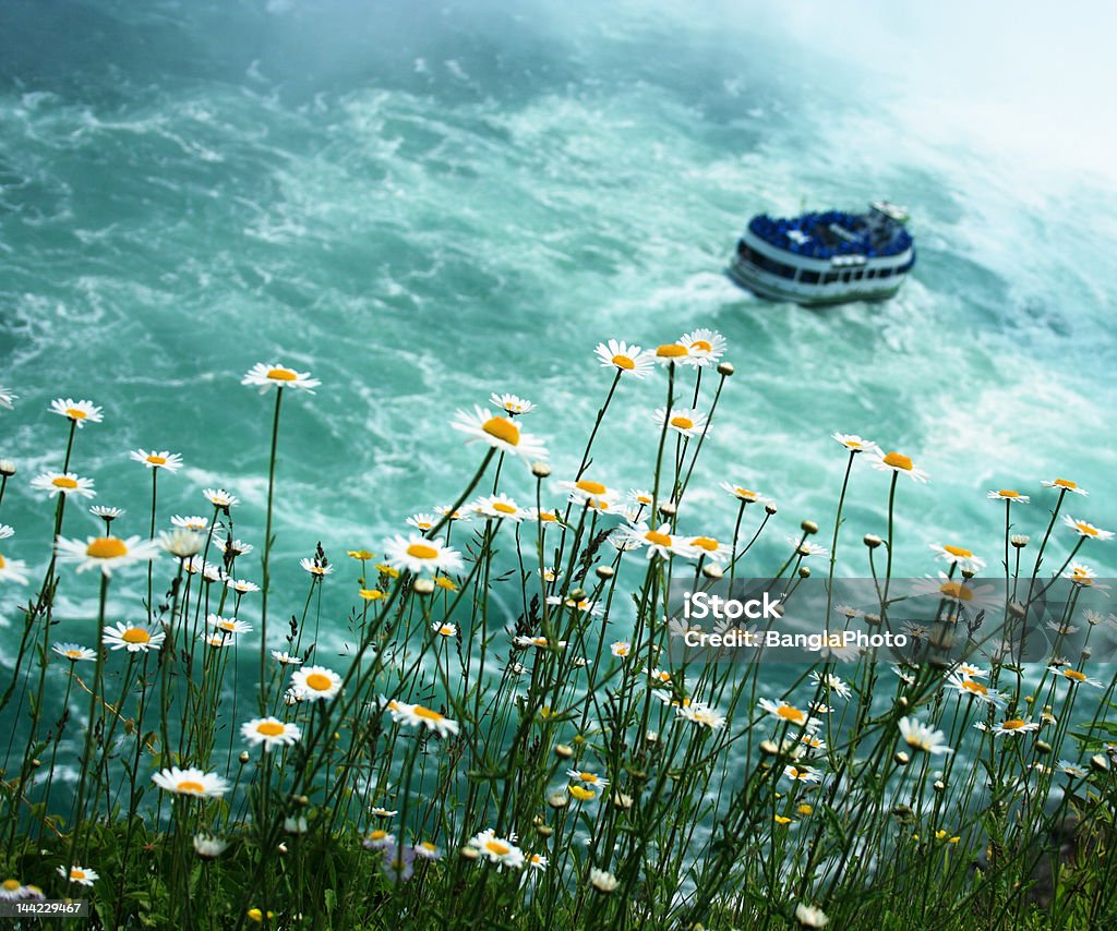 Maid of the Mist, una perspectiva diferente - Foto de stock de Cataratas del Niágara libre de derechos