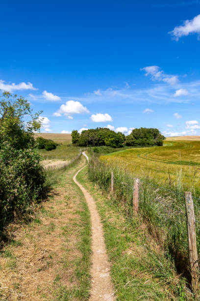 istock Looking along a pathway in the South Downs, on a sunny summer's day 1442295360