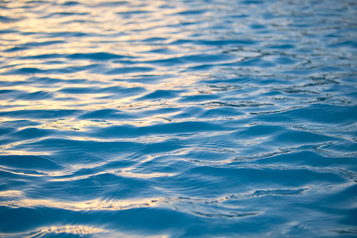Closeup seascape surface of blue sea water with small ripple waves.
