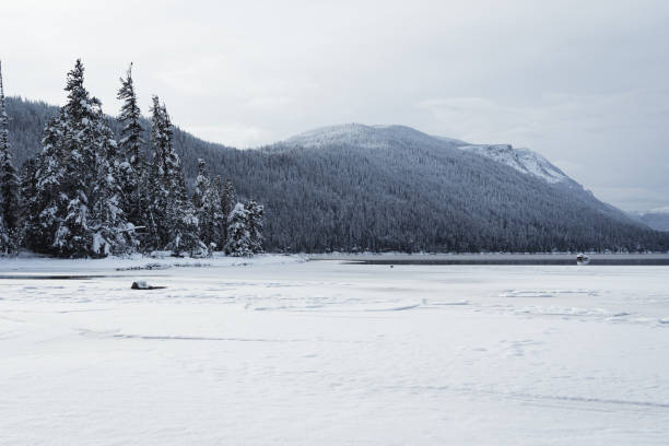 istock Snow-Covered Lake with Trees and Mountain in Background 1442298210