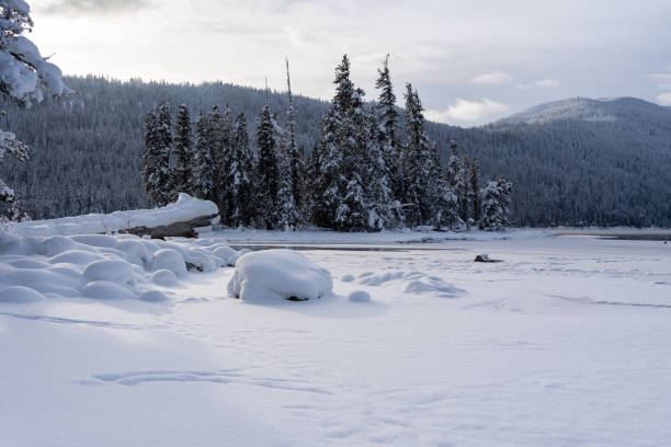 Fresh Snow at Lake Wenatchee, WA in Winter 2022