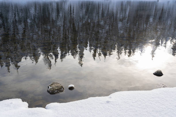 Fresh Snow at Lake Wenatchee, WA in Winter 2022